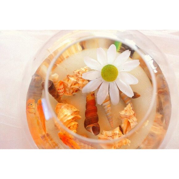 New Sea Shells Mixed Beach Seashells & Starfish for DIY Crafts, Party Decor - Picture 4 of 13